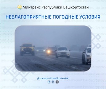 ��������������� �������� ������� 5 ���