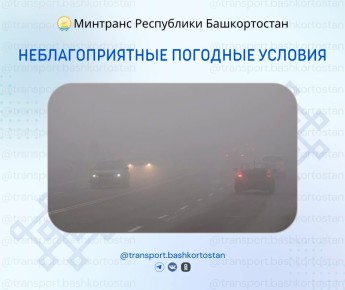 ��������������� �������� ������� 6 ���