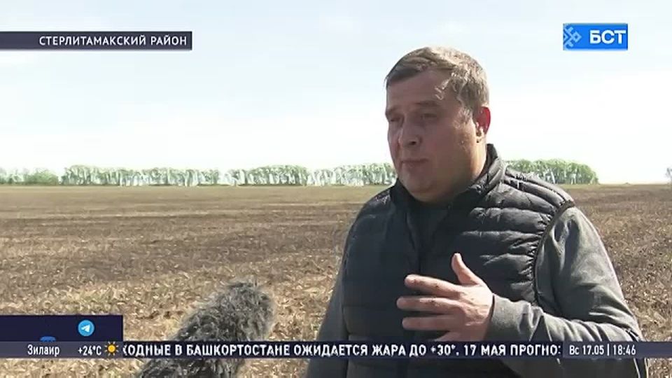 Аграрии Башкирии завершают посевную кампанию раньше срока