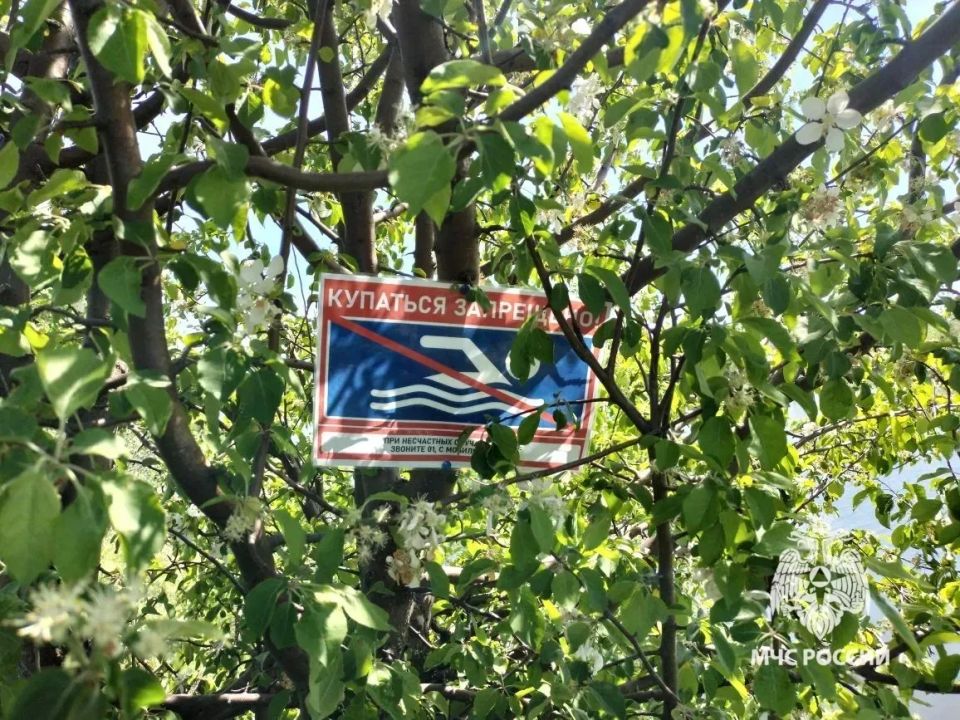 В Бирском районе произошла трагедия на воде В Бирском районе произошла трагедия на воде