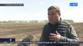 Аграрии Башкирии завершают посевную кампанию раньше срока