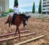 � ������ ����������� ��� ������ ��������� ��������������� ������ ��������� ��������� ����