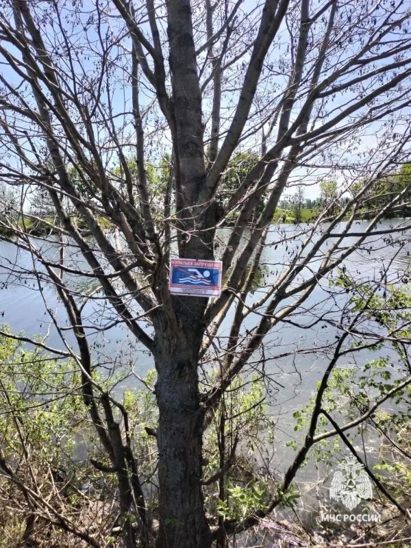 В Бирском районе произошла трагедия на воде В Бирском районе произошла трагедия на воде