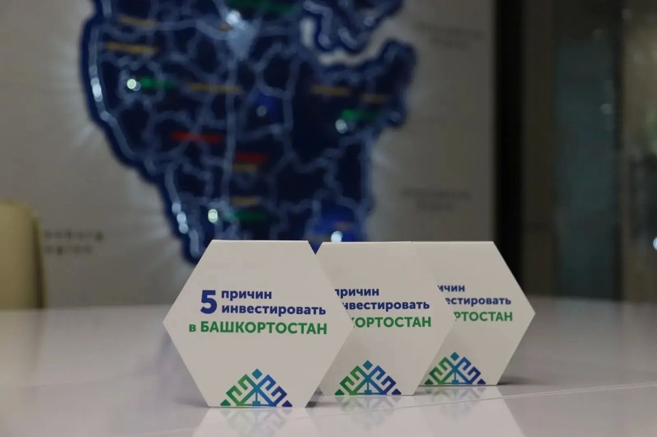 В Башкирии инвесторы могут вложиться в создание химического и пищевых производств общей стоимостью 910 млн рублей