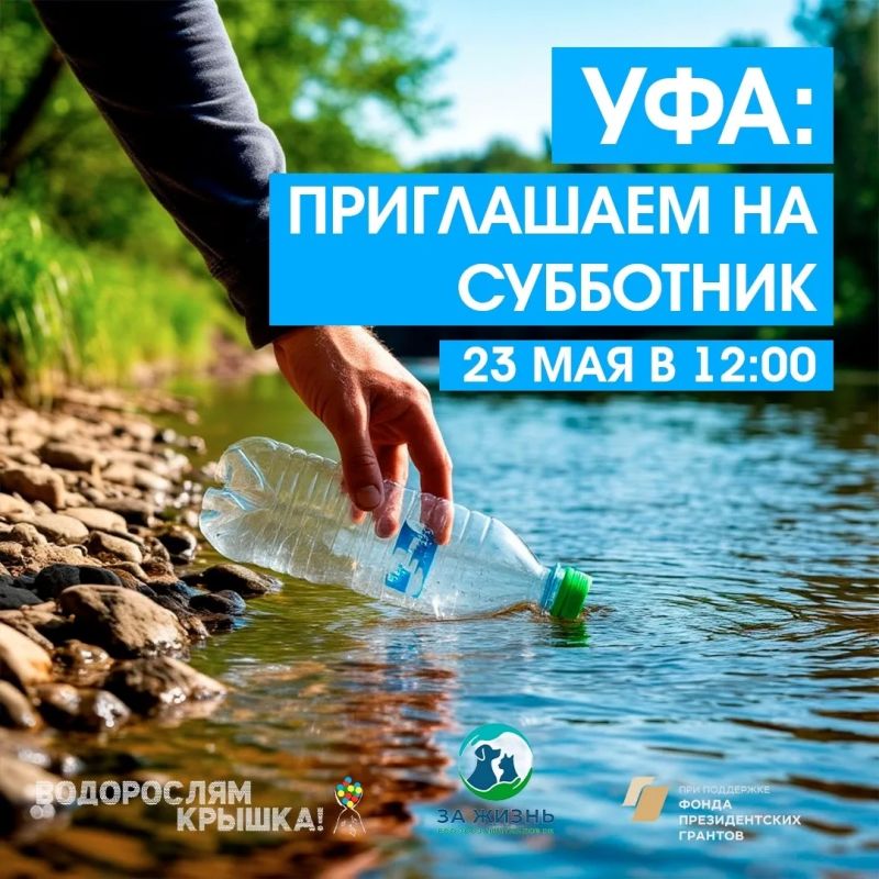 В рамках проекта «Водорослям крышка