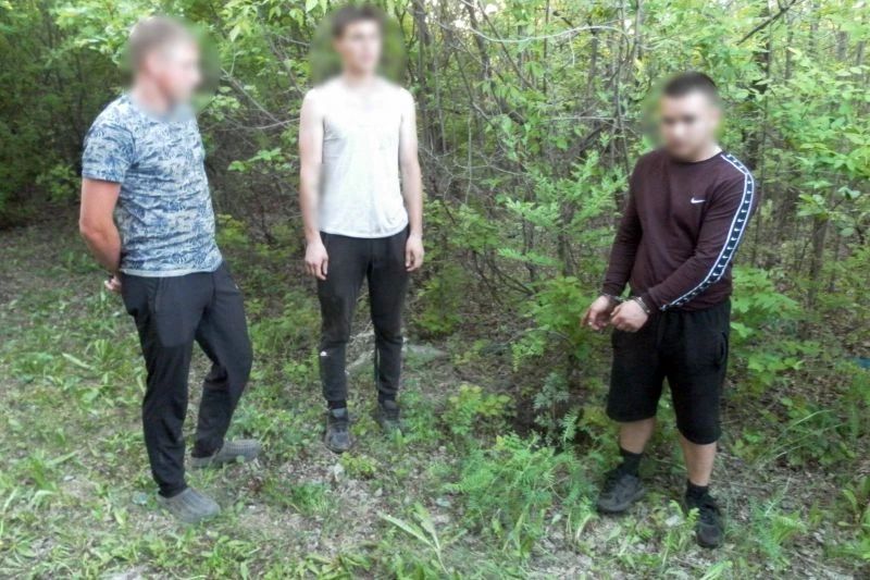 В Давлекановскому районе полицейские нашли в тайнике-закладке более 15 граммов синтетического наркотика В Давлекановскому районе полицейские нашли в тайнике-закладке более 15 граммов синтетического наркотика