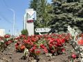 Тысячи красок для любимого города