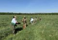 В природном парке «Аслы-Куль» высадили деревья на шести гектарах