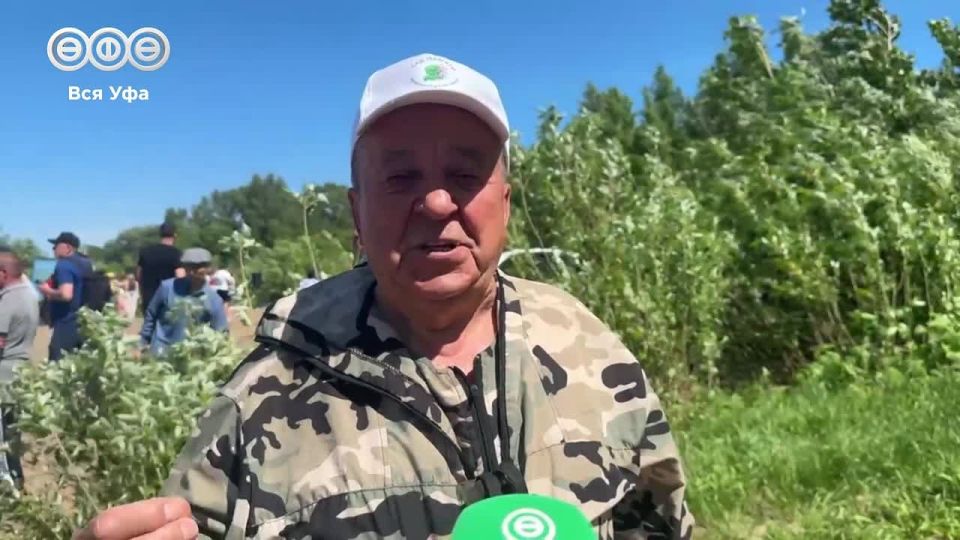 2 тонны пластика превратились в живую рыбу!