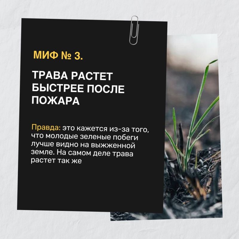 Выжигание травы не поможет расти новой зелени лучше – огонь только уничтожит семена и почки, которые находятся на поверхности земли Выжигание травы не поможет расти новой зелени лучше – огонь только уничтожит семена и почки, которые находятся на поверхности земли
