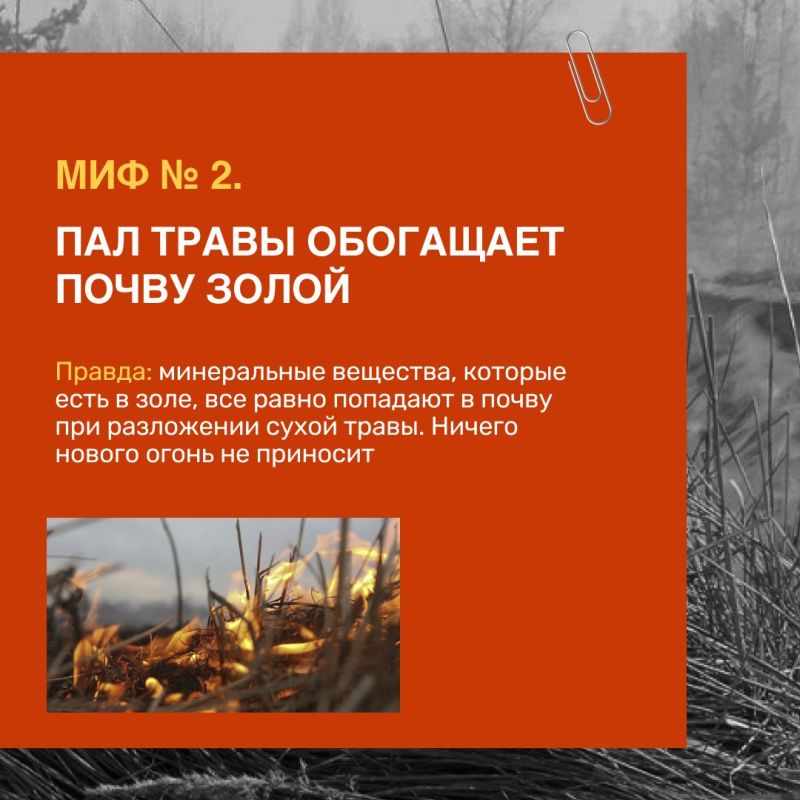 Выжигание травы не поможет расти новой зелени лучше – огонь только уничтожит семена и почки, которые находятся на поверхности земли Выжигание травы не поможет расти новой зелени лучше – огонь только уничтожит семена и почки, которые находятся на поверхности земли