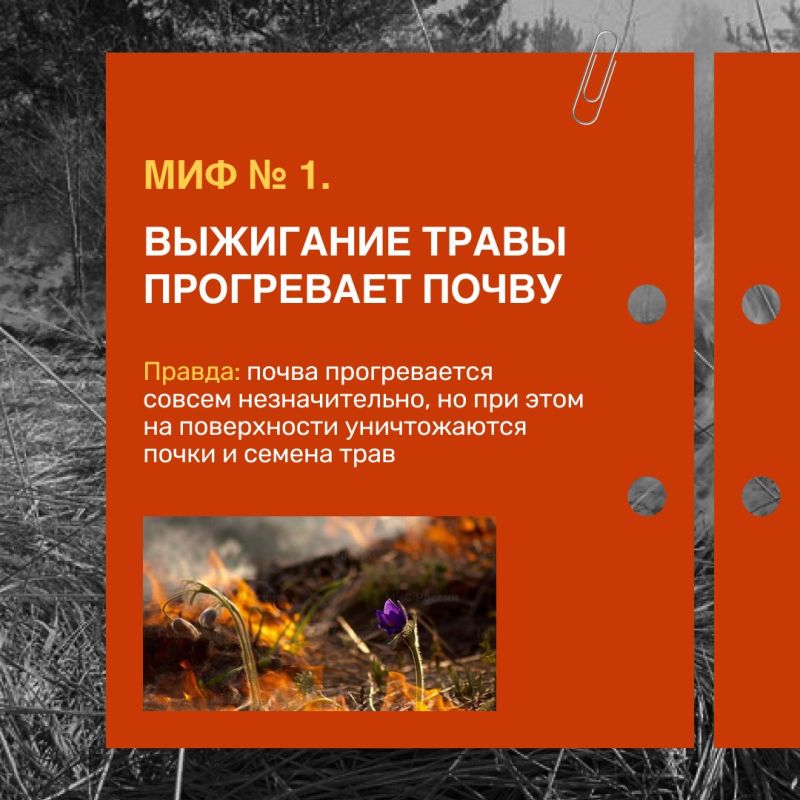 Выжигание травы не поможет расти новой зелени лучше – огонь только уничтожит семена и почки, которые находятся на поверхности земли Выжигание травы не поможет расти новой зелени лучше – огонь только уничтожит семена и почки, которые находятся на поверхности земли