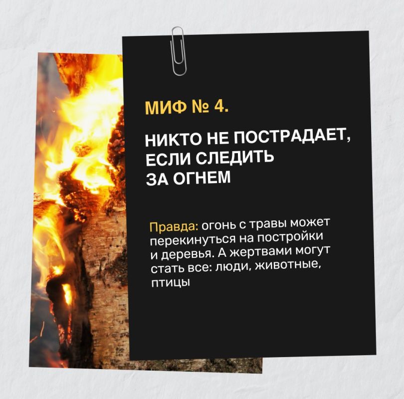 Выжигание травы не поможет расти новой зелени лучше – огонь только уничтожит семена и почки, которые находятся на поверхности земли Выжигание травы не поможет расти новой зелени лучше – огонь только уничтожит семена и почки, которые находятся на поверхности земли