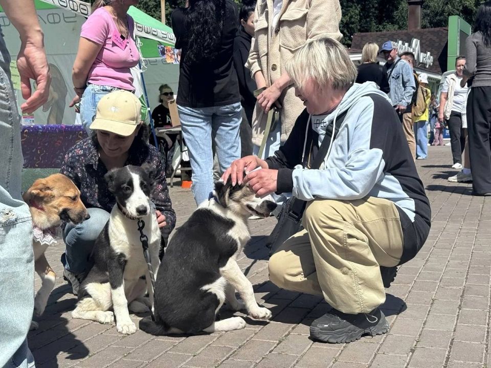 В Уфе прошла очередная благотворительная акция «Ищу человека» В Уфе прошла очередная благотворительная акция «Ищу человека»