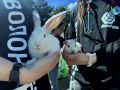 В Уфе прошла очередная благотворительная акция «Ищу человека»