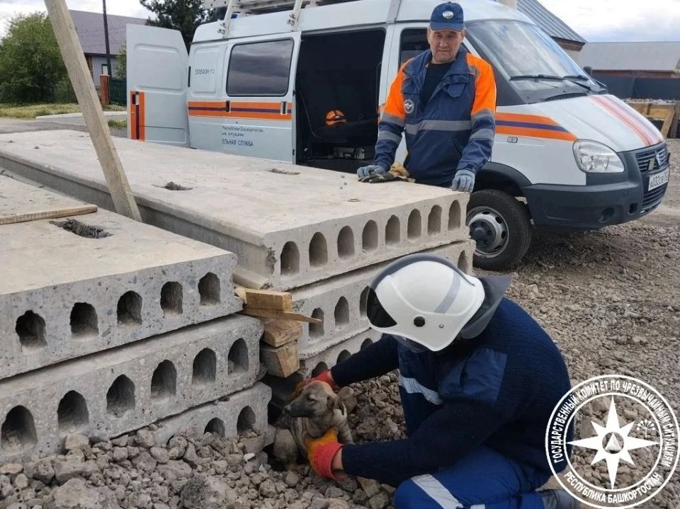 В Башкортостане спасатели вызволили щенка, застрявшего между строительными плитами