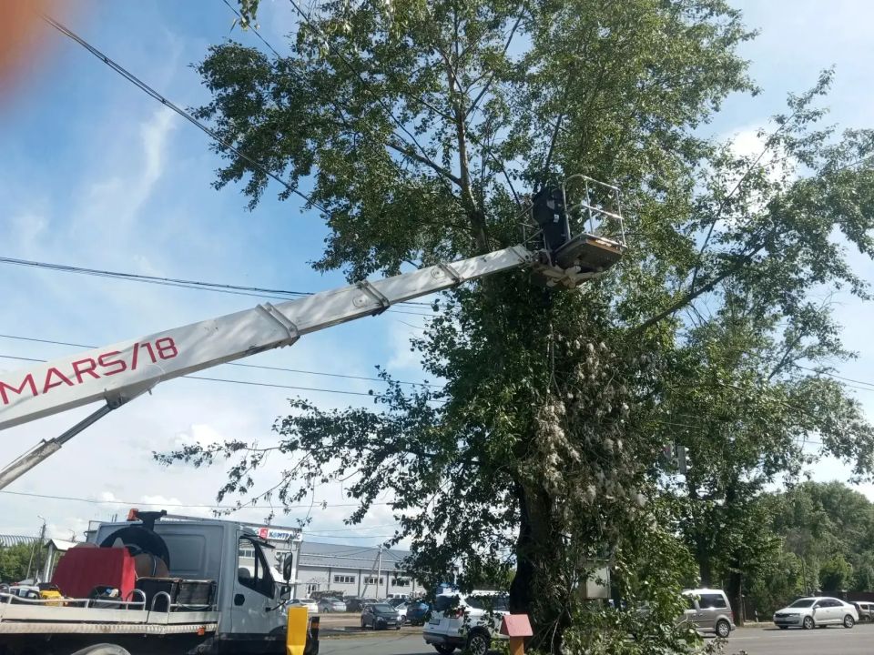 С наступлением лета в городе продолжается сезон благоустройства С наступлением лета в городе продолжается сезон благоустройства