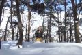 ������� ������� ������ �������� � ����� �������� � ��������� �� ���������