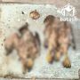 Рабочие заживо сожгли птенцов сокола во время ремонта крыши дома в Башкирии