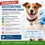 ВНИМАНИЕ! БЕСПЛАТНОЕ ЧИПИРОВАНИЕ СОБАК!