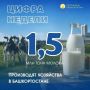 В нашей рубрике «Цифра недели» – объём производства молока в Башкортостане