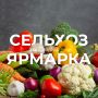 � ��� ��������� ������� ��������� ���