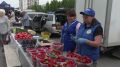 Аграрии Башкирии приехали в Уфу на сельхозярмарки