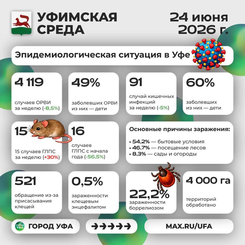 Что было интересного на «Уфимской среде»?