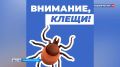 � ������ ������� � ������������� �������� �������� � ���� ���������� ������ � ������ ����� ����