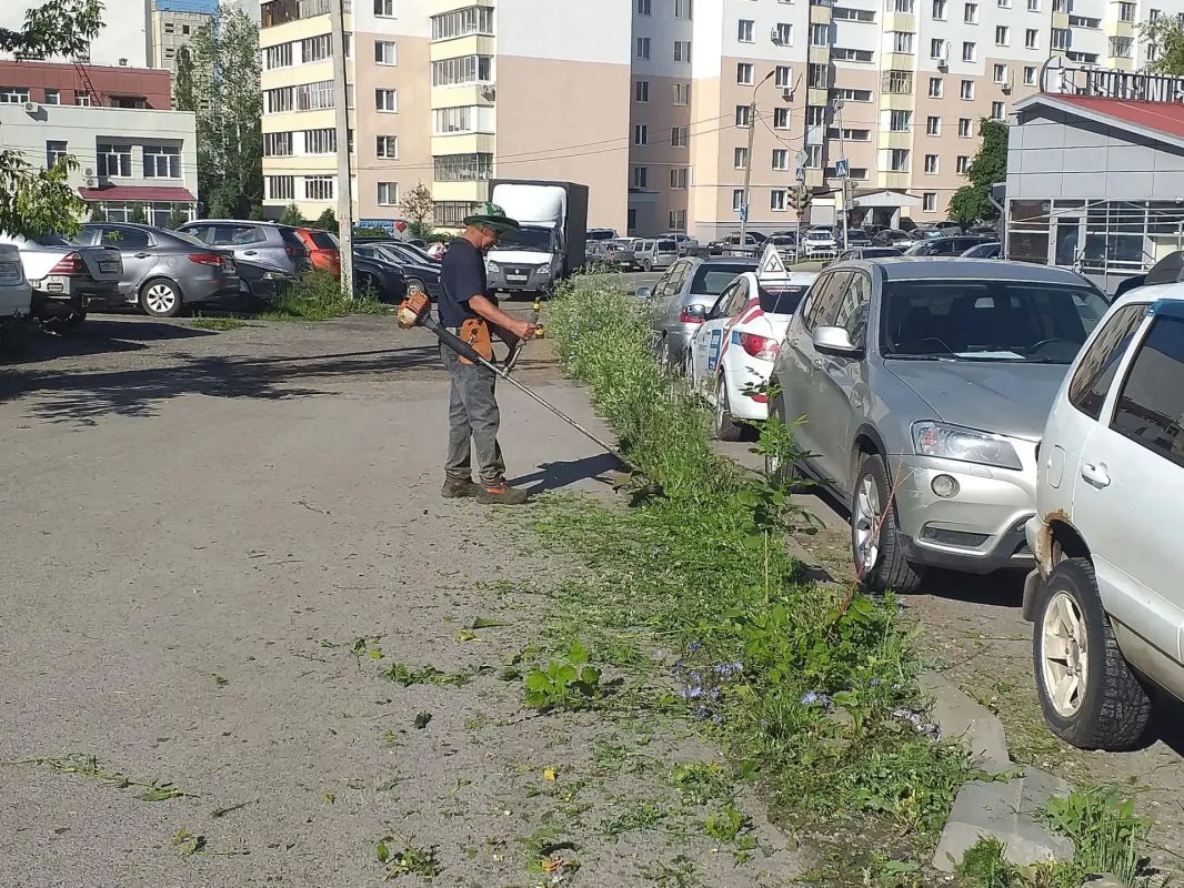 Середина недели — не повод сбавлять темп Середина недели — не повод сбавлять темп