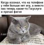 ���� -. � ���� �� ��� � �������� ���� -