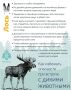 Встреча с диким зверем в лесу: знать, чтобы выжить!