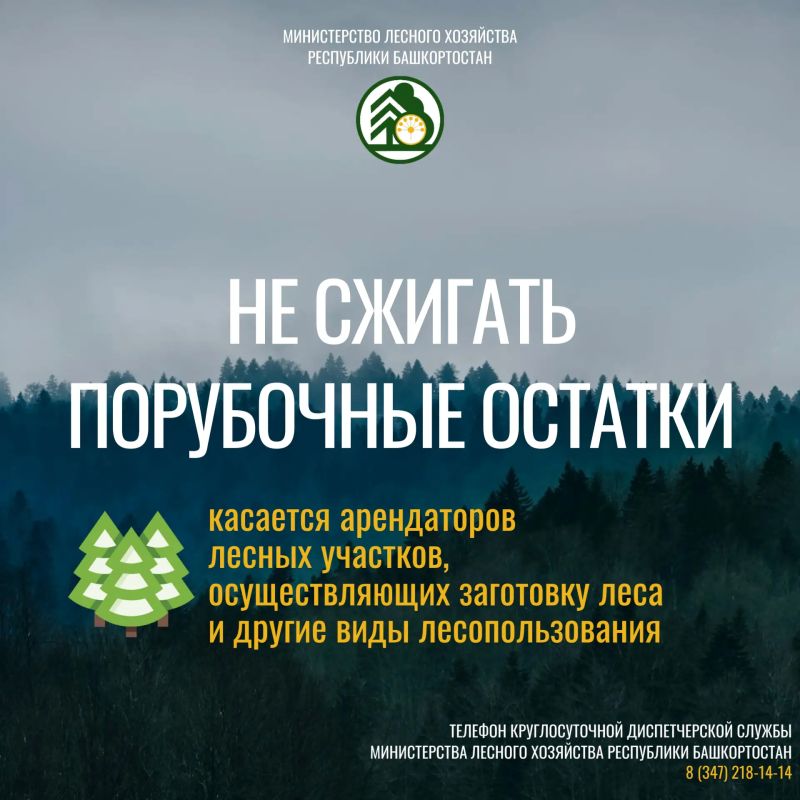 Будьте бдительны, берегите лес! Будьте бдительны, берегите лес!