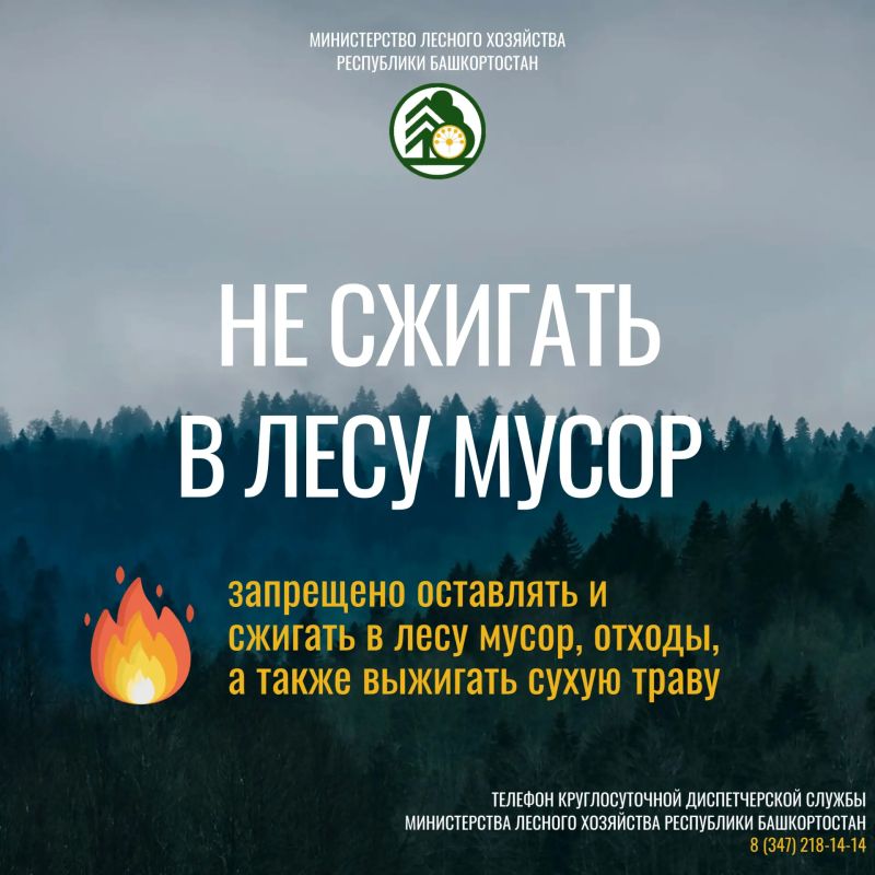 Будьте бдительны, берегите лес! Будьте бдительны, берегите лес!