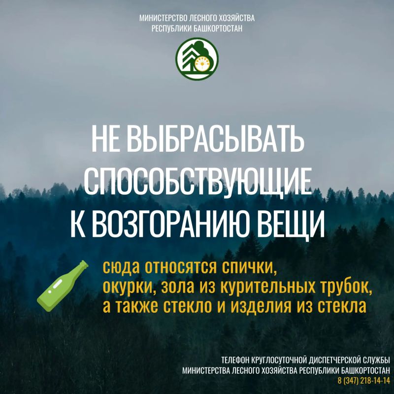 Будьте бдительны, берегите лес! Будьте бдительны, берегите лес!