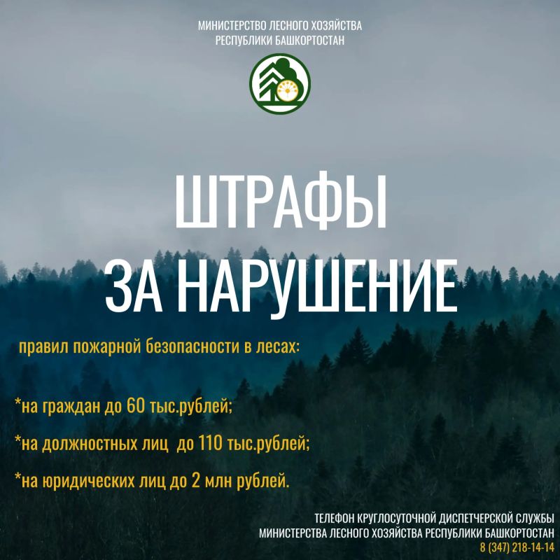 Будьте бдительны, берегите лес! Будьте бдительны, берегите лес!