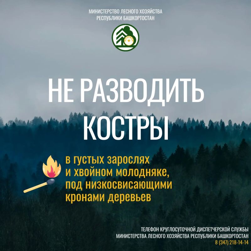 Будьте бдительны, берегите лес! Будьте бдительны, берегите лес!