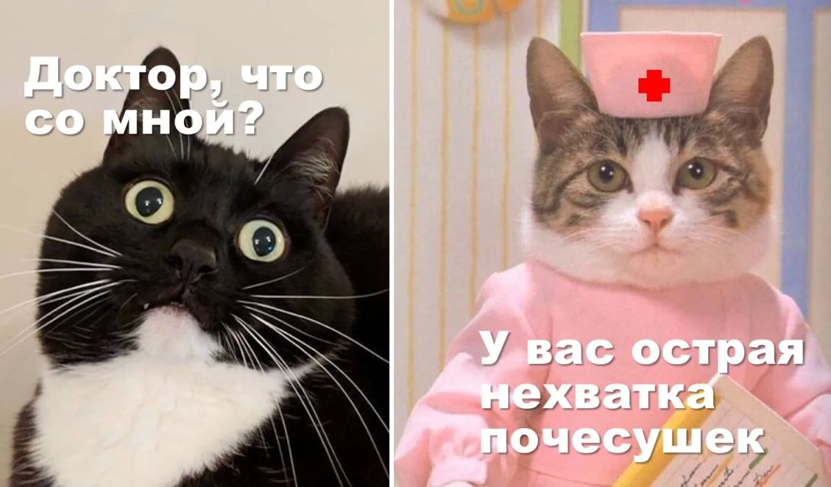 Приболели?. А вы знали, что на Госуслугах можно не только записаться к врачу, но и вызвать его на дом?