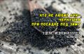 ����� ������� ������� ����-��������: ��� �������� ���������������� ������