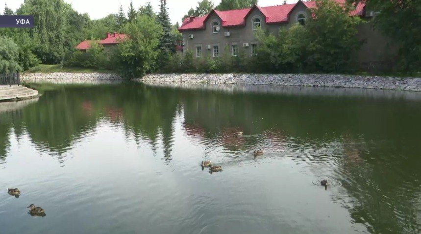 Жители Уфы добились очистки водоёма в саду Аксакова