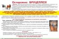 �������� � ������� ������������ �����������, ������� ��������� �� �������� � �������� ����� ������ � ����