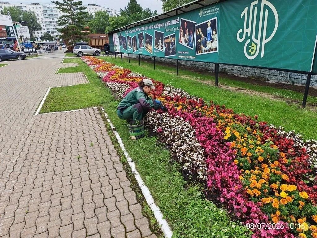 Зелёный город начинается с заботы! Зелёный город начинается с заботы!