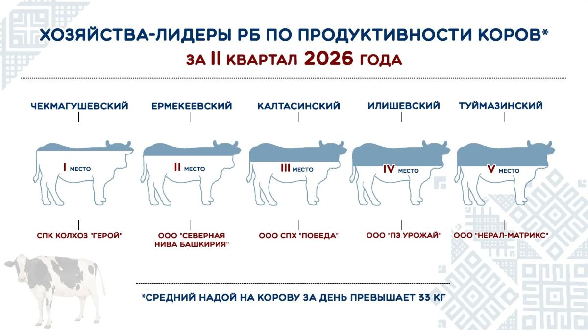 В Башкортостане подвели итоги развития молочного скотоводства за первый квартал 2026 года В Башкортостане подвели итоги развития молочного скотоводства за первый квартал 2026 года