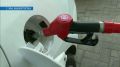 ������ �� ���������� ��������� � ��������