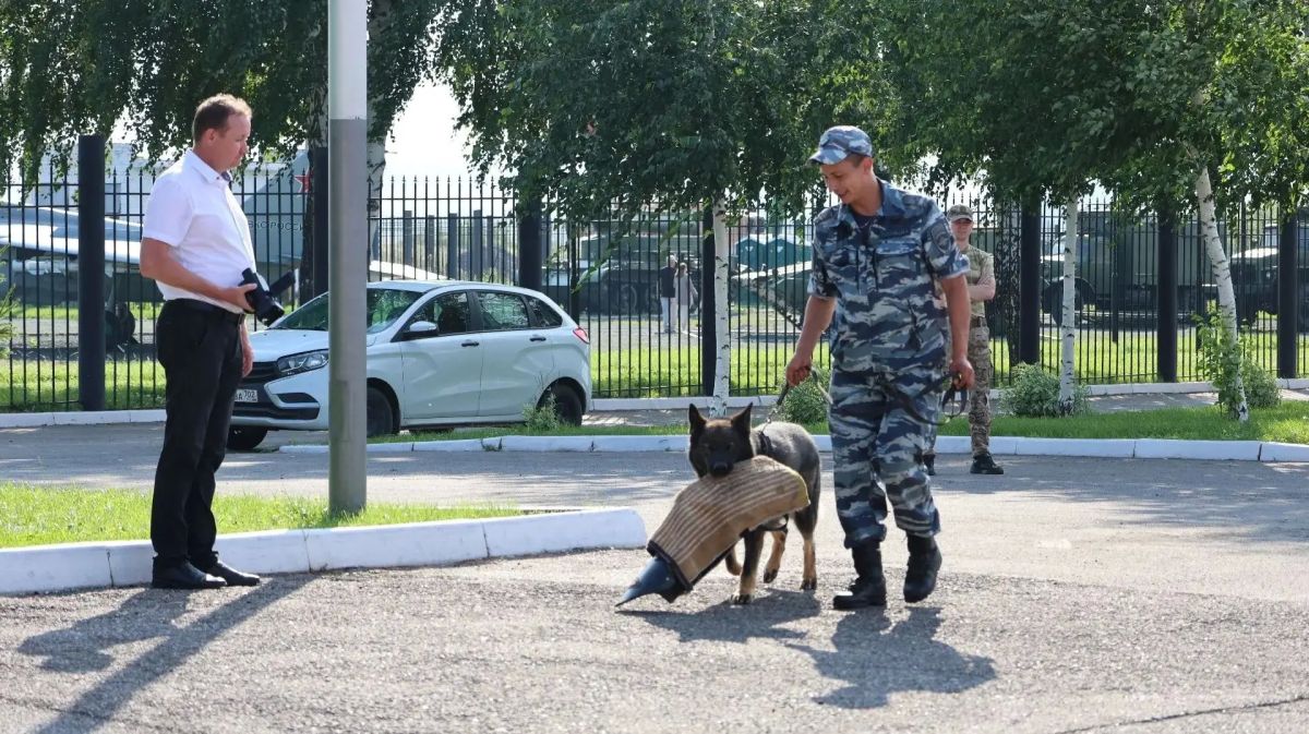 В Башкортостане в военно-патриотическом парке «Патриот» кинологи познакомили подростков с секретами своей профессии В Башкортостане в военно-патриотическом парке «Патриот» кинологи познакомили подростков с секретами своей профессии