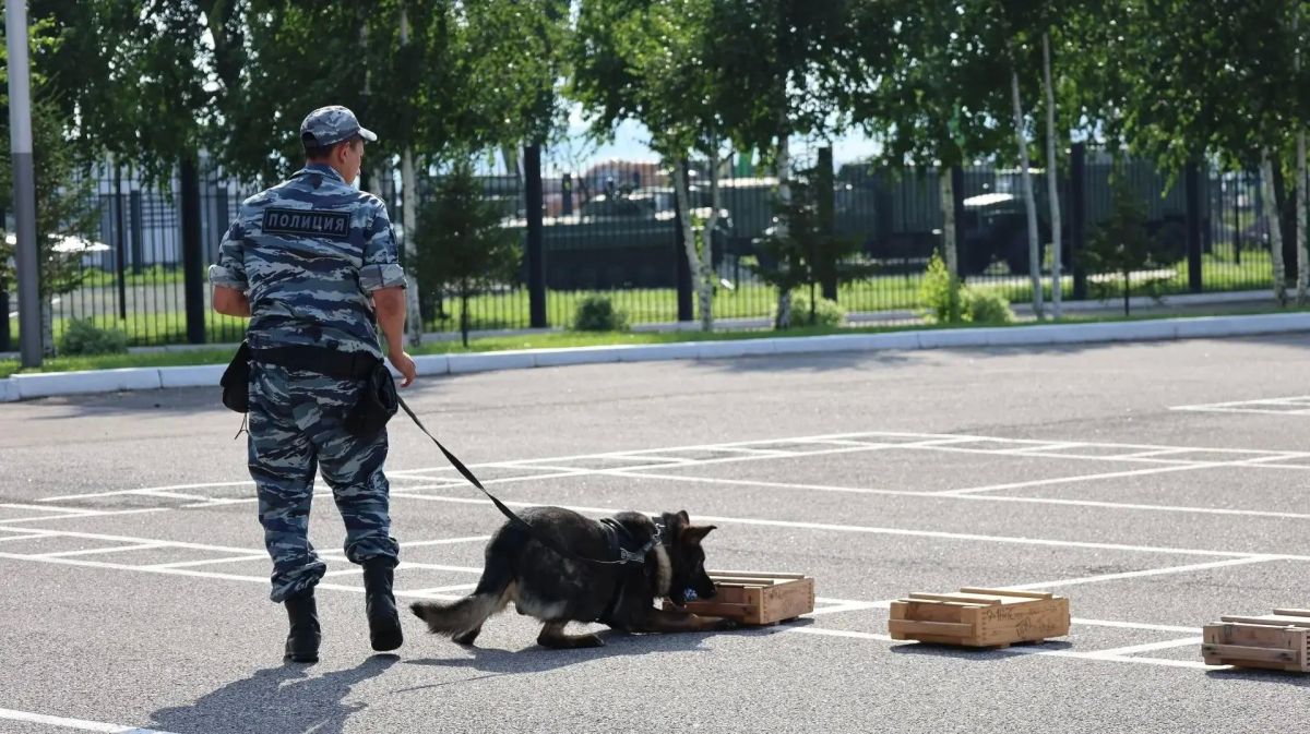 В Башкортостане в военно-патриотическом парке «Патриот» кинологи познакомили подростков с секретами своей профессии В Башкортостане в военно-патриотическом парке «Патриот» кинологи познакомили подростков с секретами своей профессии