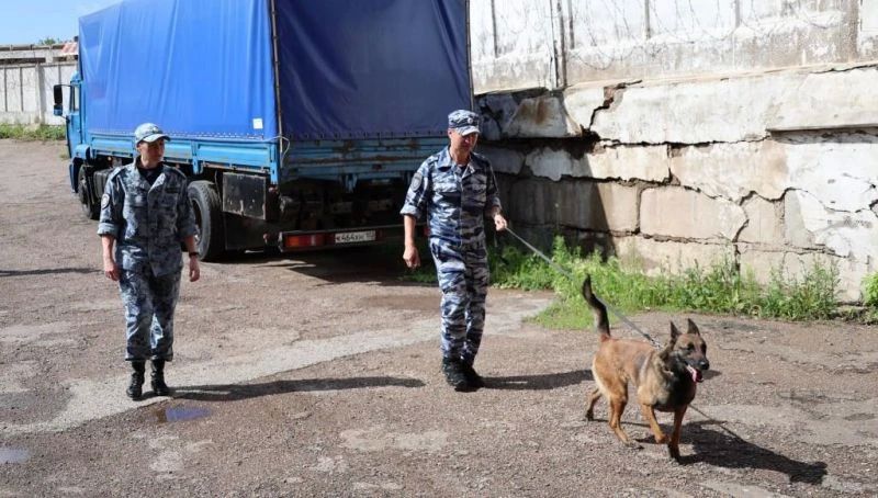 В РЕСПУБЛИКЕ БАШКОРТОСТАН СОСТОЯЛСЯ МЕЖРЕГИОНАЛЬНЫЙ УЧЕБНО-МЕТОДИЧЕСКИЙ СБОР КИНОЛОГОВ В РЕСПУБЛИКЕ БАШКОРТОСТАН СОСТОЯЛСЯ МЕЖРЕГИОНАЛЬНЫЙ УЧЕБНО-МЕТОДИЧЕСКИЙ СБОР КИНОЛОГОВ