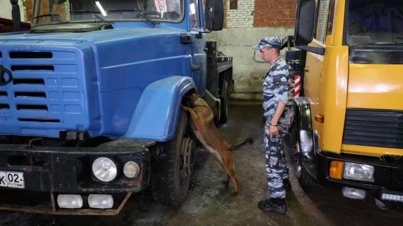 В РЕСПУБЛИКЕ БАШКОРТОСТАН СОСТОЯЛСЯ МЕЖРЕГИОНАЛЬНЫЙ УЧЕБНО-МЕТОДИЧЕСКИЙ СБОР КИНОЛОГОВ В РЕСПУБЛИКЕ БАШКОРТОСТАН СОСТОЯЛСЯ МЕЖРЕГИОНАЛЬНЫЙ УЧЕБНО-МЕТОДИЧЕСКИЙ СБОР КИНОЛОГОВ