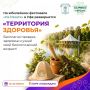 На юбилейном фестивале «На Рахате» в Уфе развернулась «Территория здоровья»