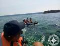 �� ����� ���������� ��������� ������������ ��������, ������� ������� ������